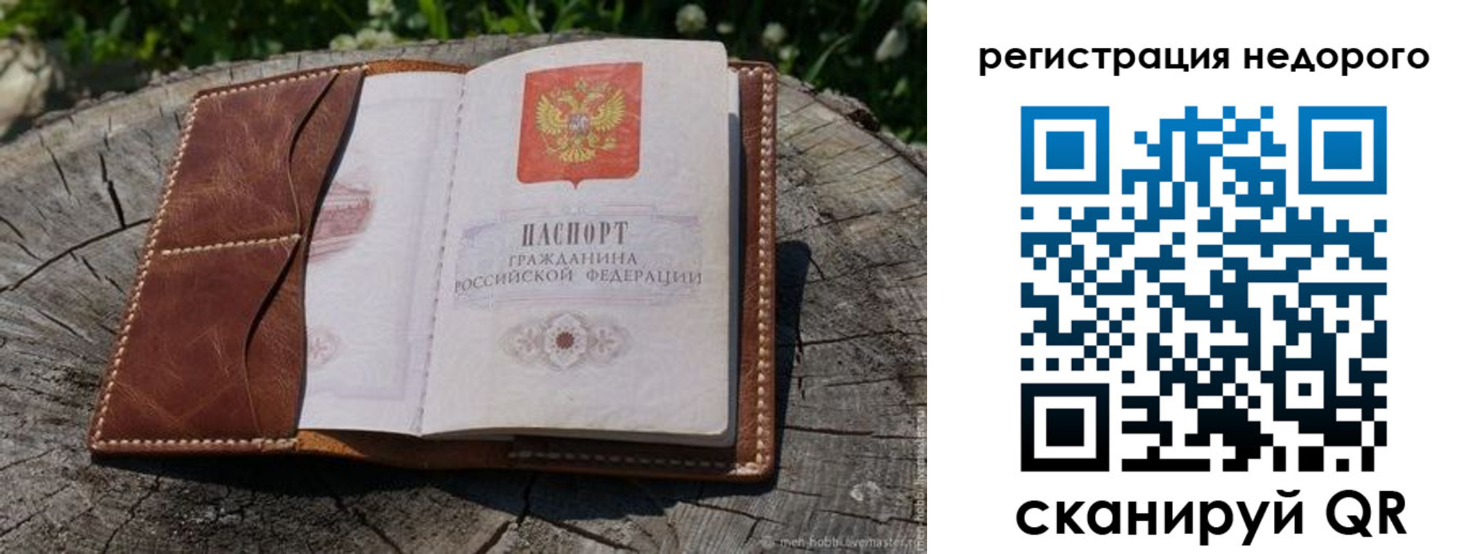 прописка для школы в Сертолово